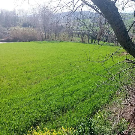 La Casa Sul Prugno Chalet *